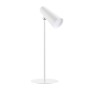 Xiaomi Flexible Rechargeable Lamp BHR8959GL